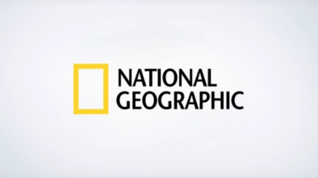 Assistir National Geographic ao vivo, 24 horas, <strong>de graça</strong>, aqui no Futebol Play HDD .com .br.